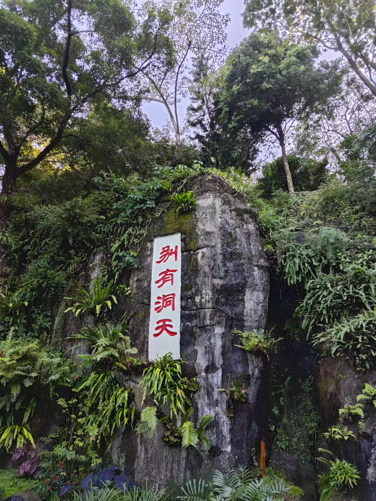 新发现区域之别有洞天 新发现区域之别有洞天