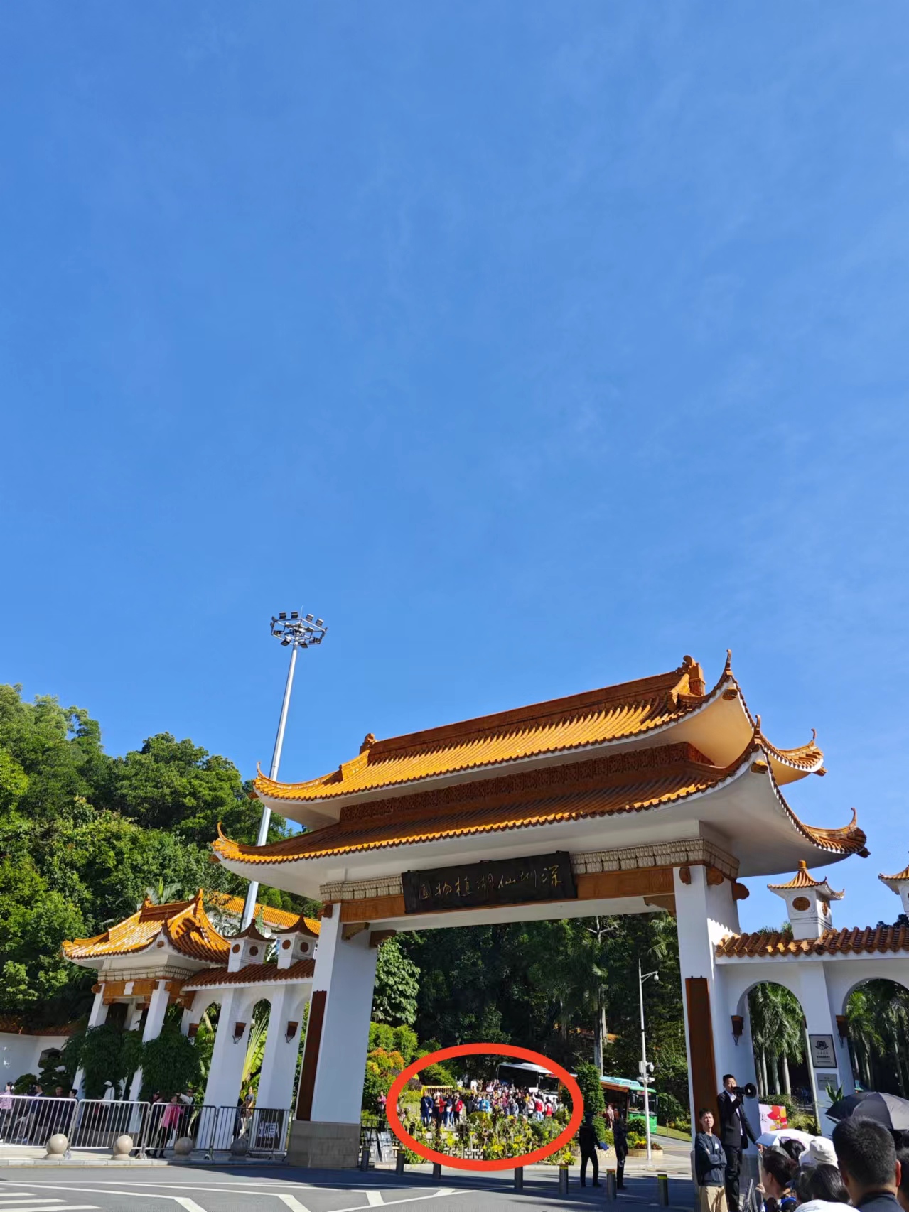 人山人海的仙湖植物园 人山人海的仙湖植物园