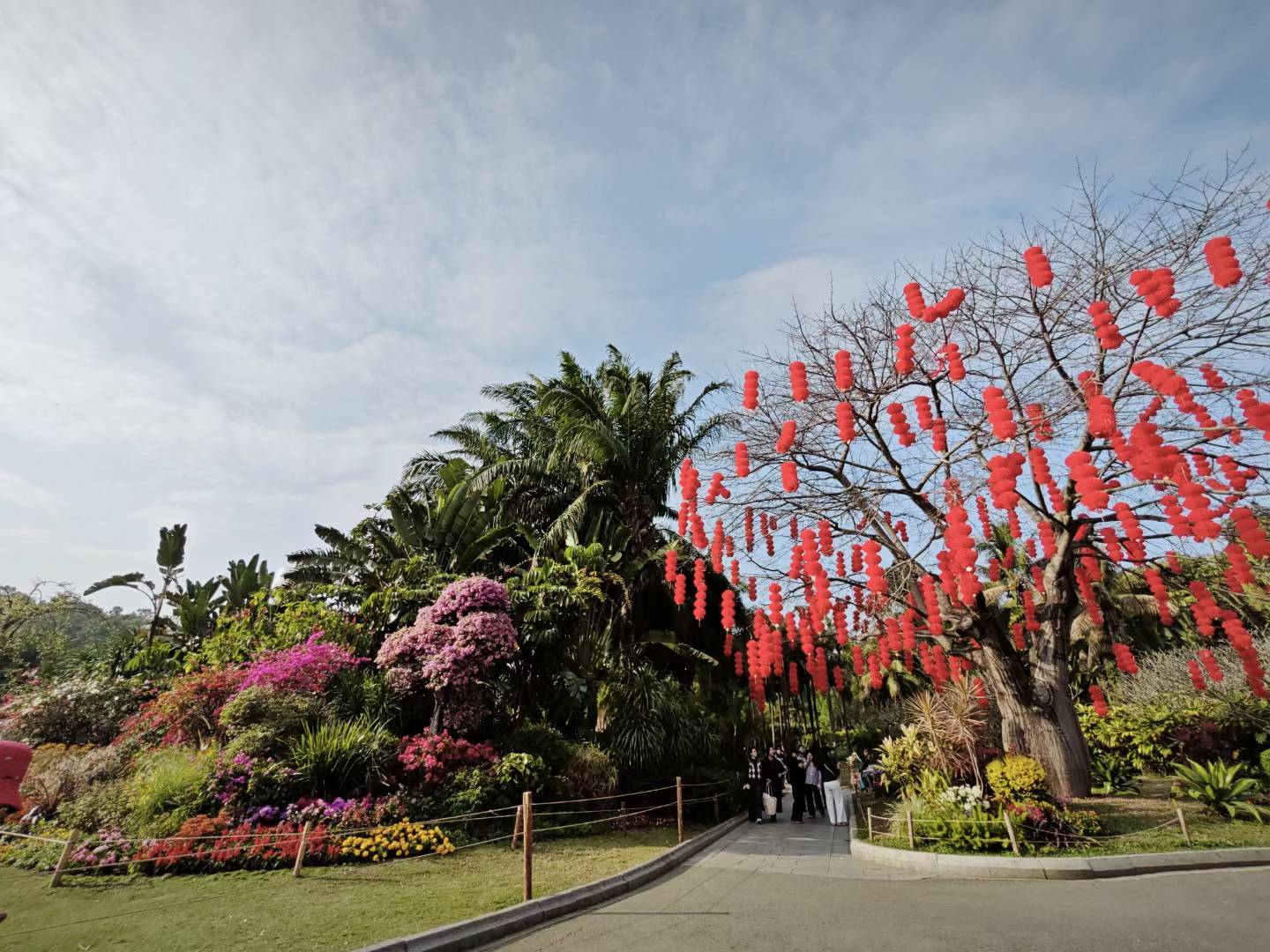 莲花山公园大门处景观 莲花山公园大门处景观